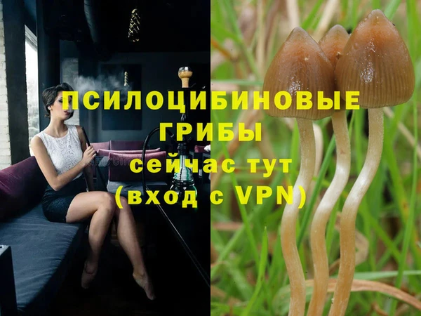мефедрон Горнозаводск