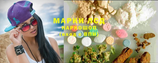 spice Горняк