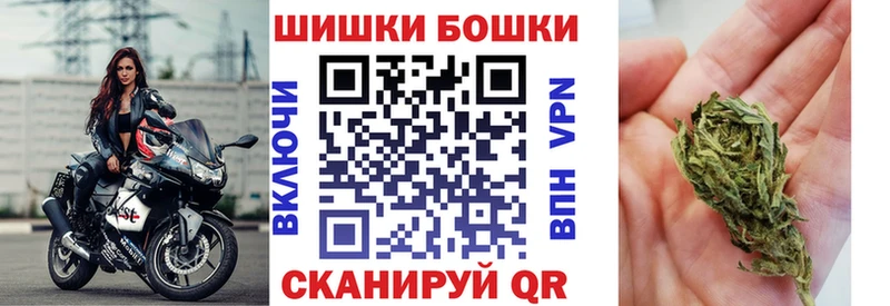 Купить  Кировск  Бошки Шишки ГИДРОПОН 